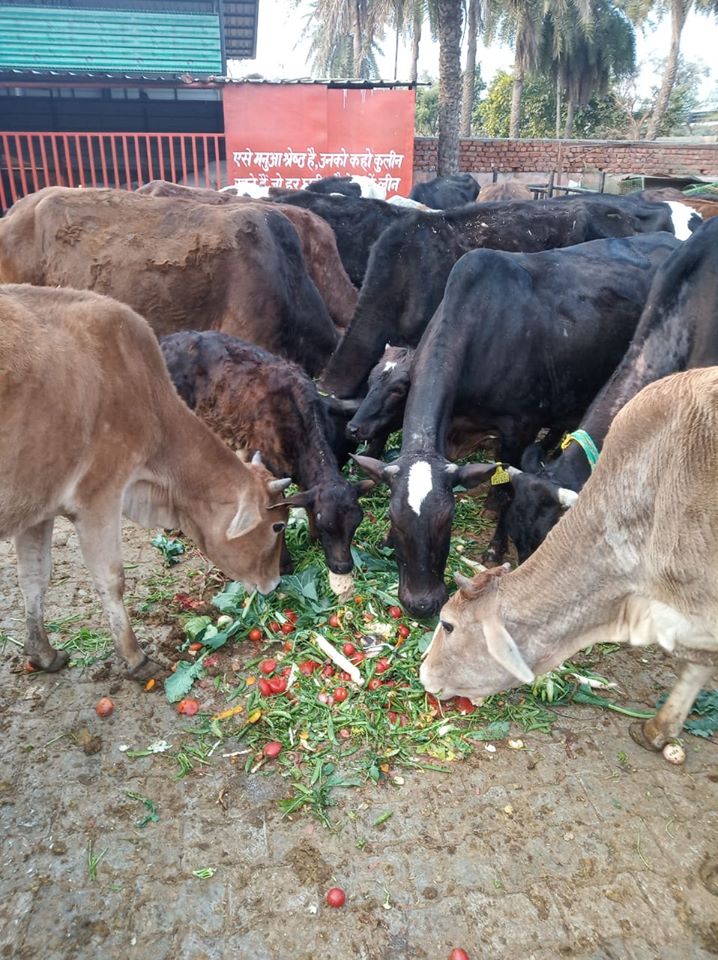 Chaara Car Youth Network Foundation